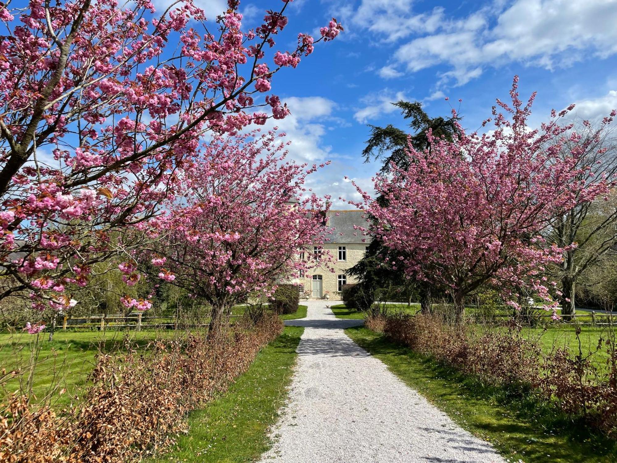 Chateau De Monfréville Eksteriør billede